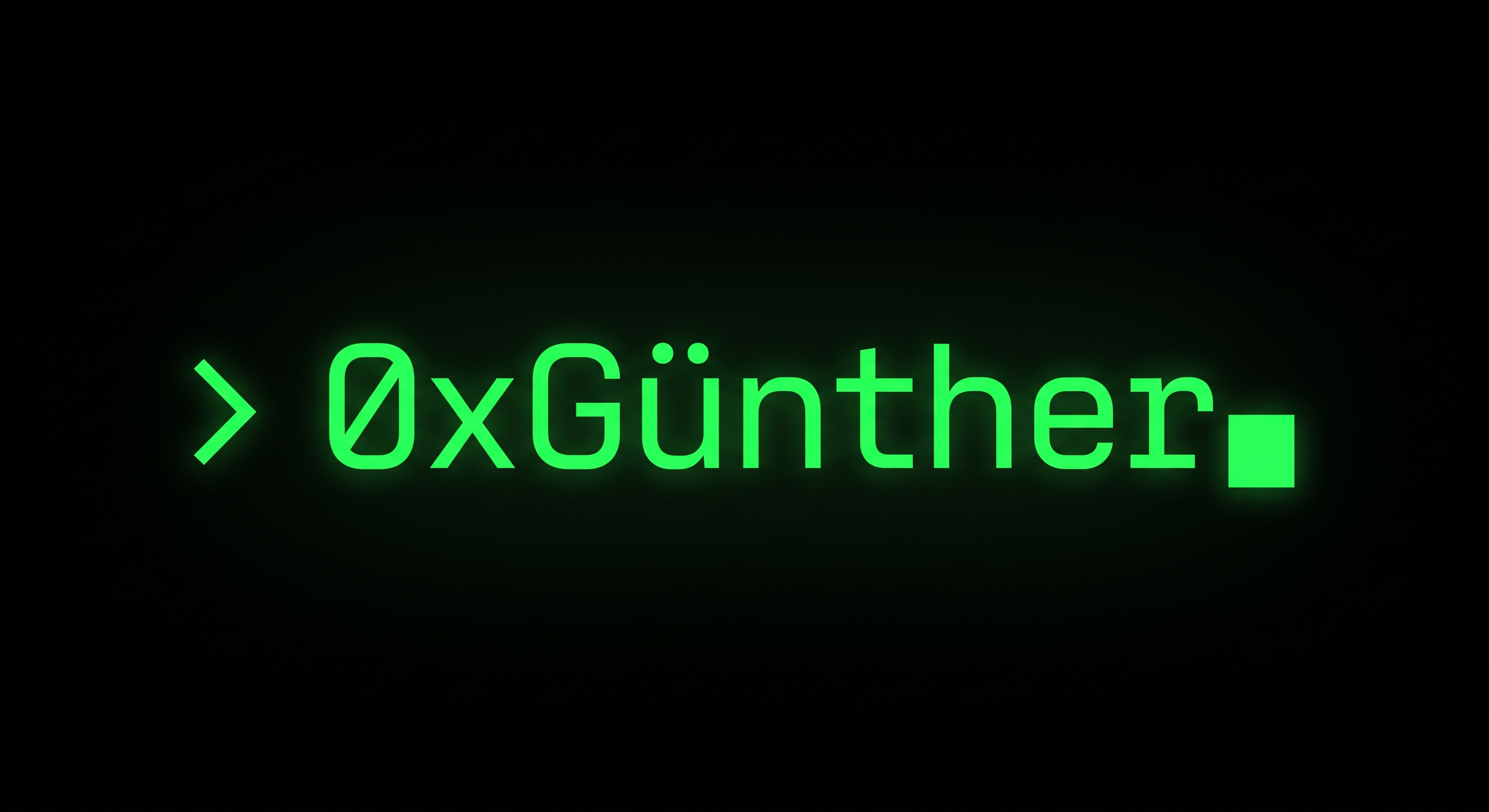 0xGünther Logo Terminal